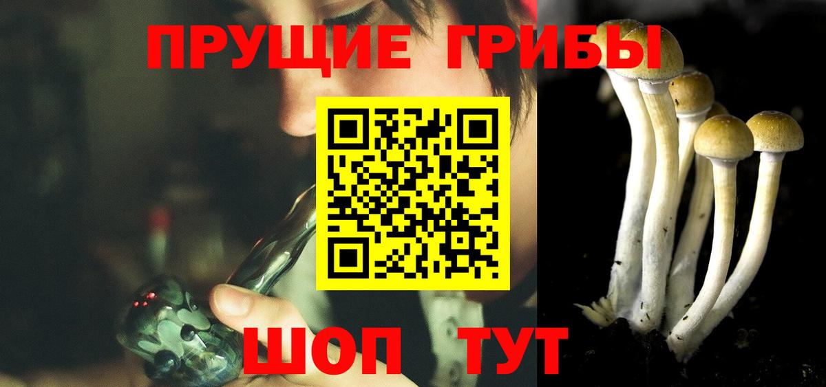 Псилоцибиновые грибы GOLDEN TEACHER Тверь